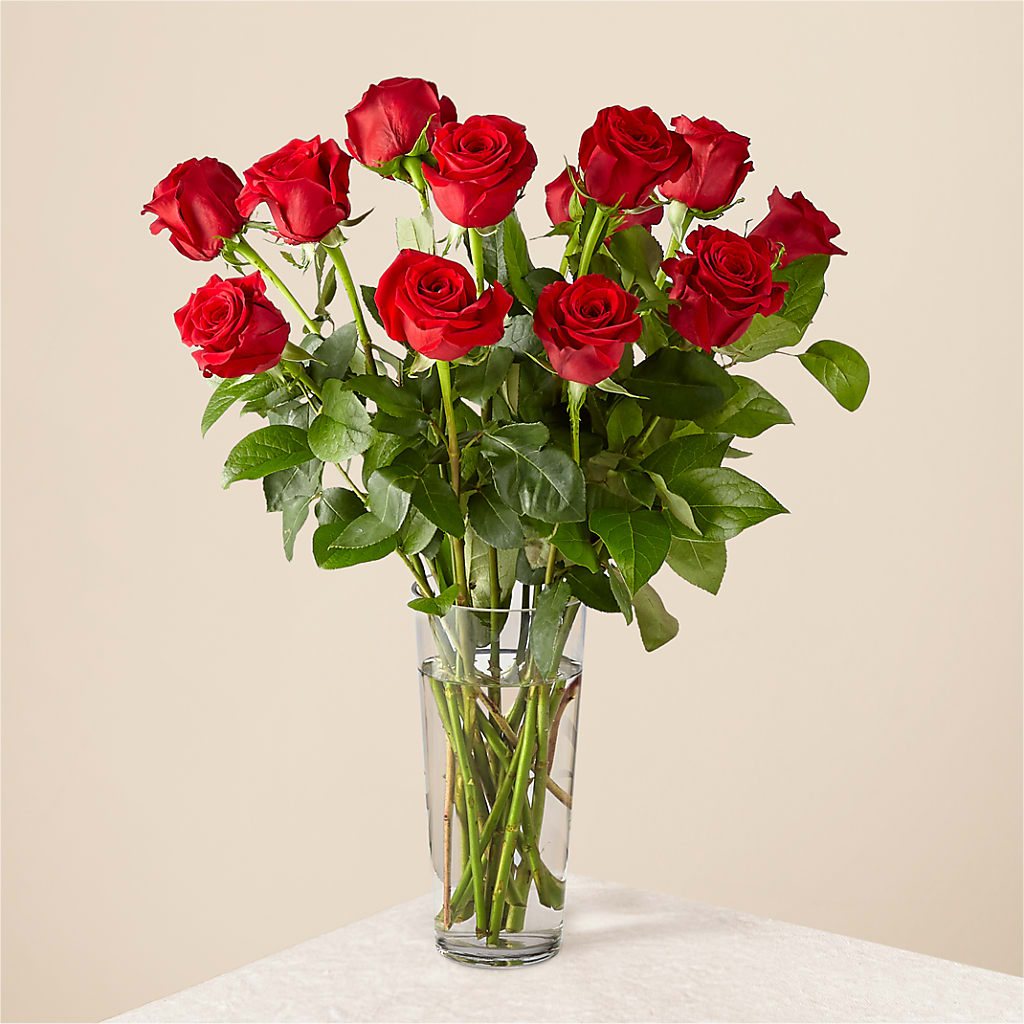 Long Stem Red Rose Bouquet – Dalias Flowers, Cornelius NC