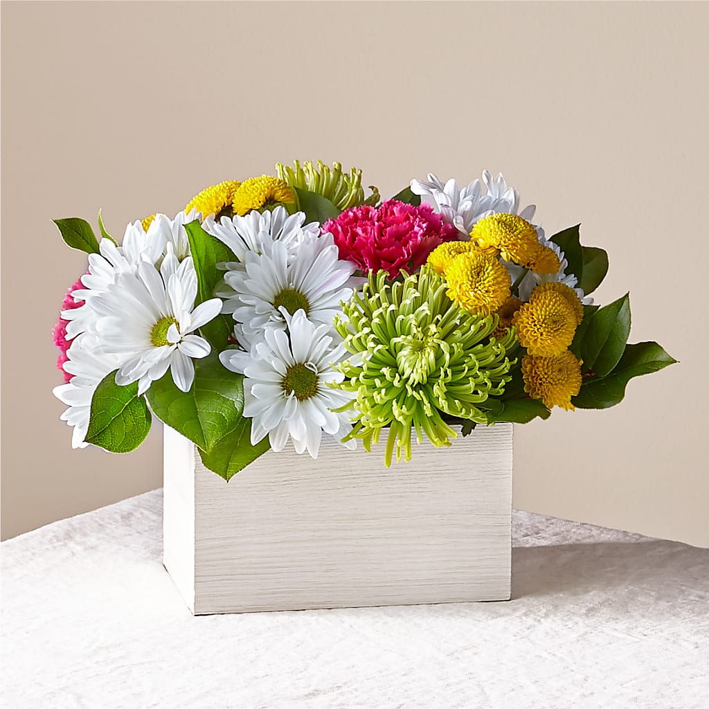 Sorbet Bouquet – Dalias Flowers, Cornelius NC