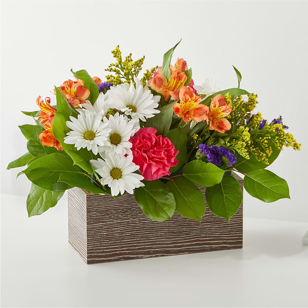 Oopsie Daisy Box Bouquet – Dalias Flowers, Cornelius NC
