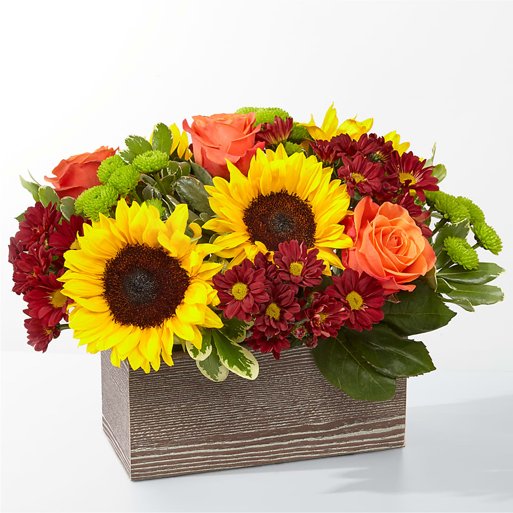Happy Harvest Garden – Dalias Flowers, Cornelius NC
