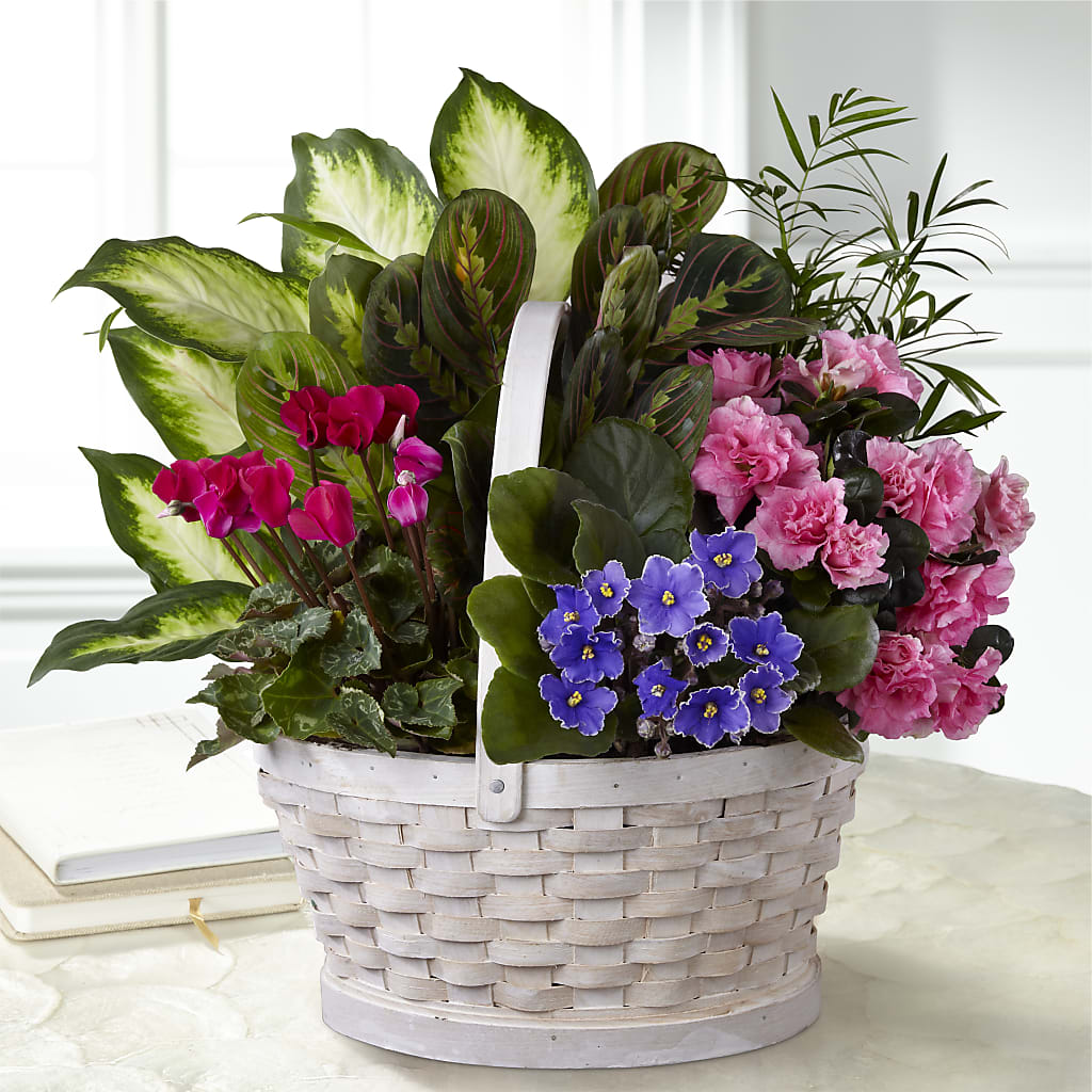 Peaceful Garden Planter – Dalias Flowers, Cornelius NC