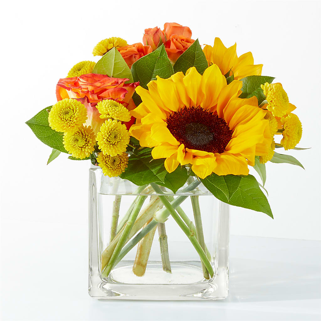 Picnic in the Park Bouquet – Dalias Flowers, Cornelius NC