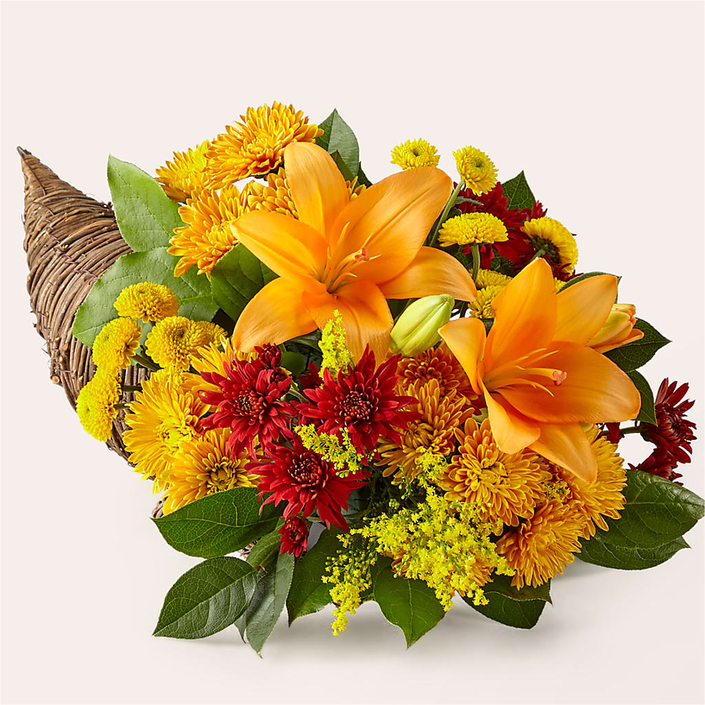 Feast of Color Cornucopia – Dalias Flowers, Cornelius NC