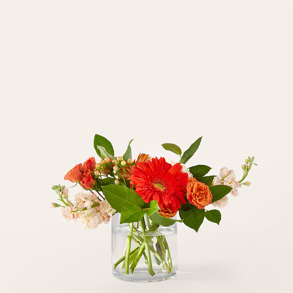 Paloma Please Bouquet – Dalias Flowers, Cornelius NC