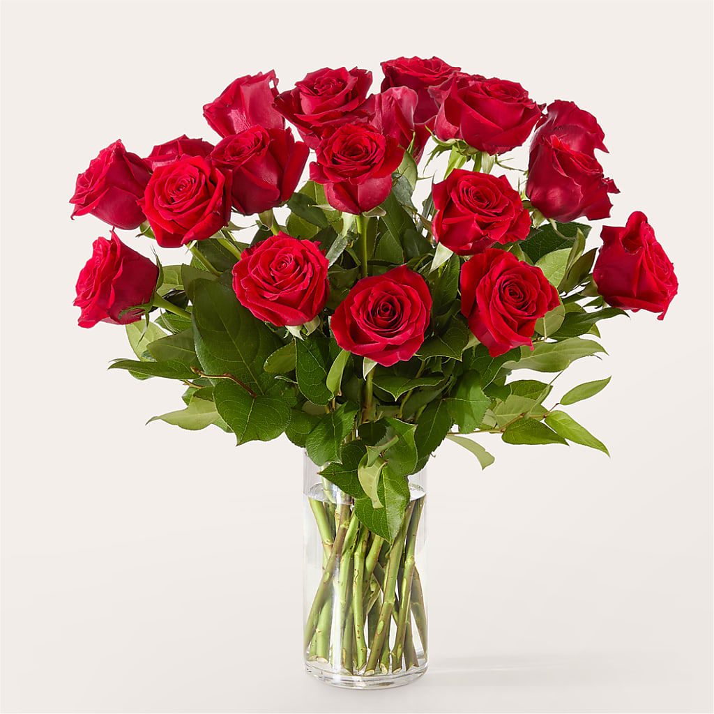 The One Red Rose Bouquet – Dalias Flowers, Cornelius NC