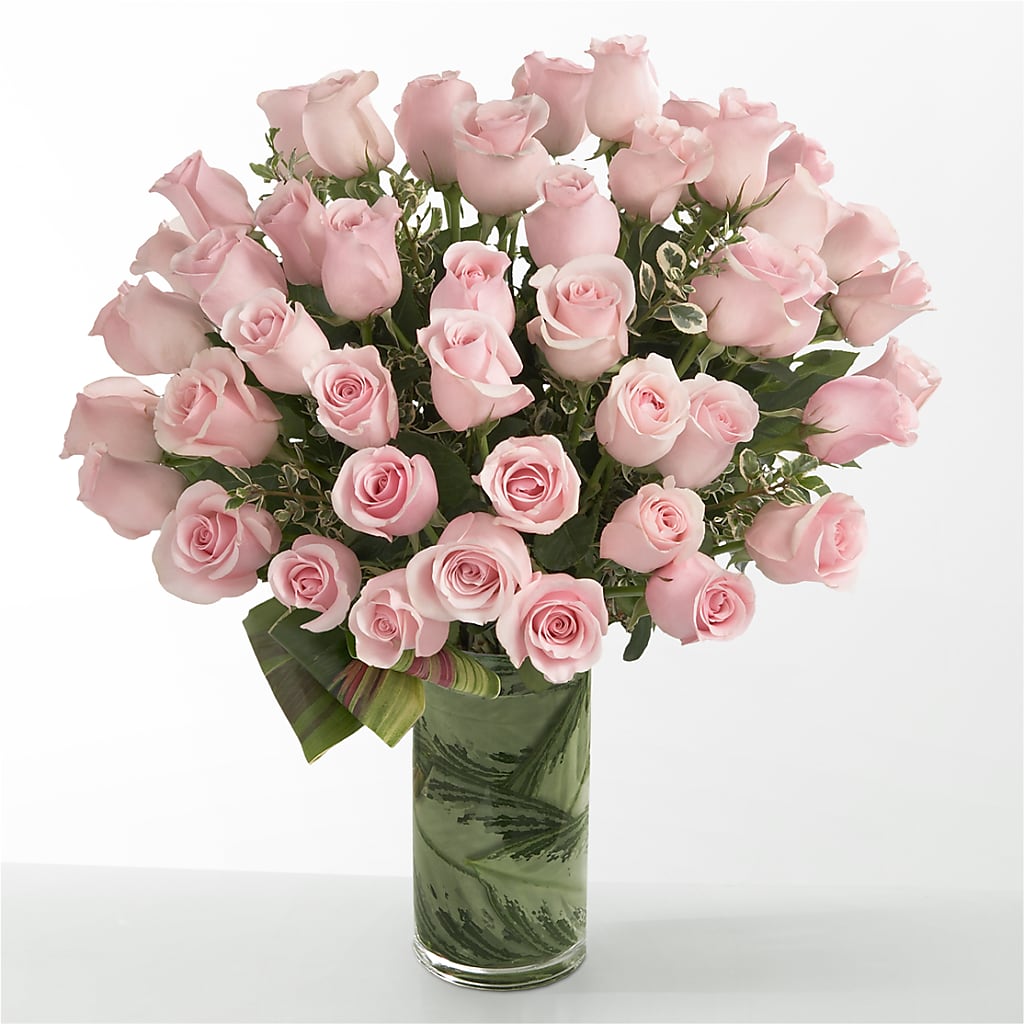 Pink Essence – Dalias Flowers, Cornelius NC