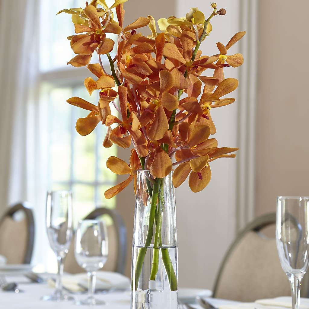 Orange Mokara Bud Vase – Dalias Flowers, Cornelius NC