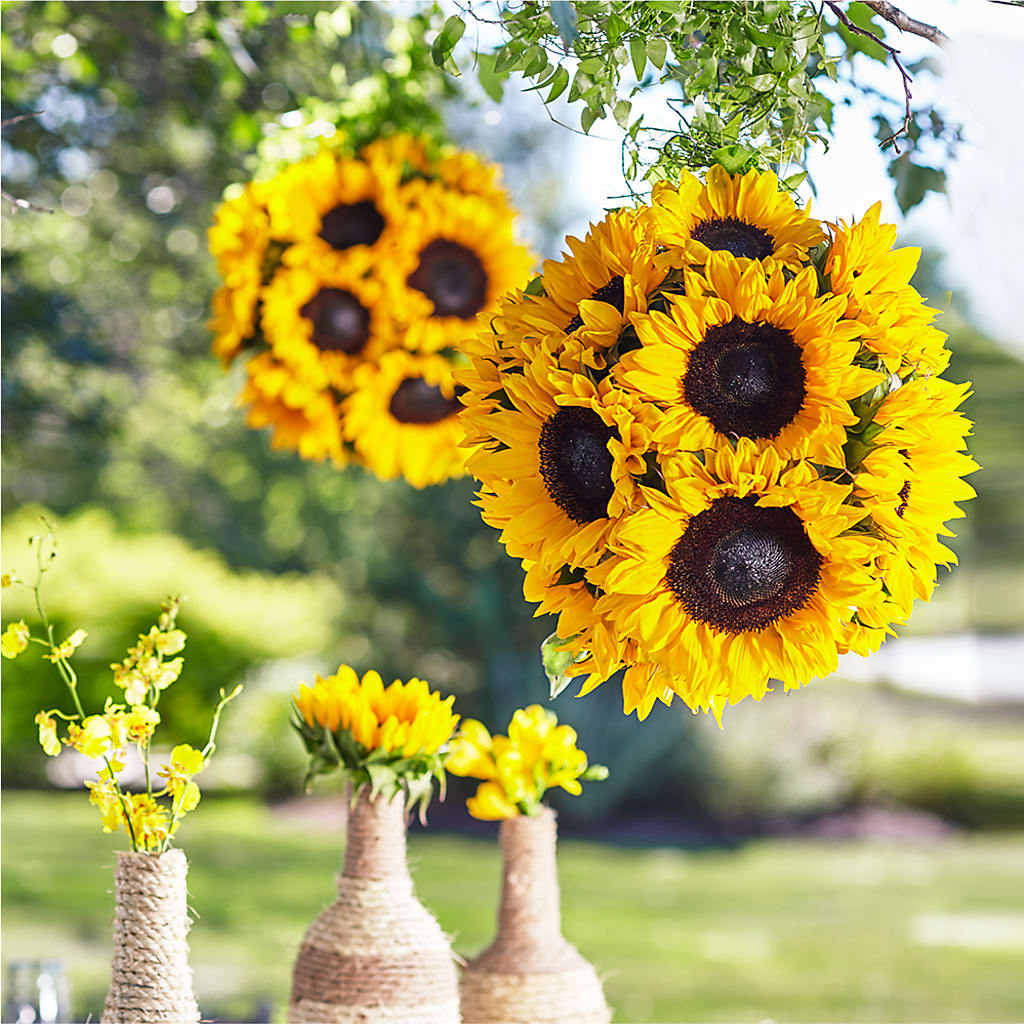 Sublime Garden Hanging Arrangement – Dalias Flowers, Cornelius NC