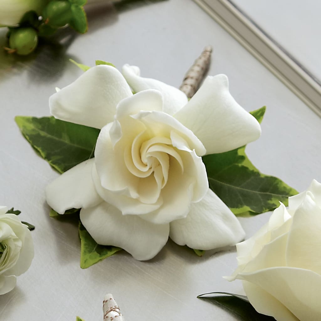 Gardenia Boutonniere – Dalias Flowers, Cornelius NC