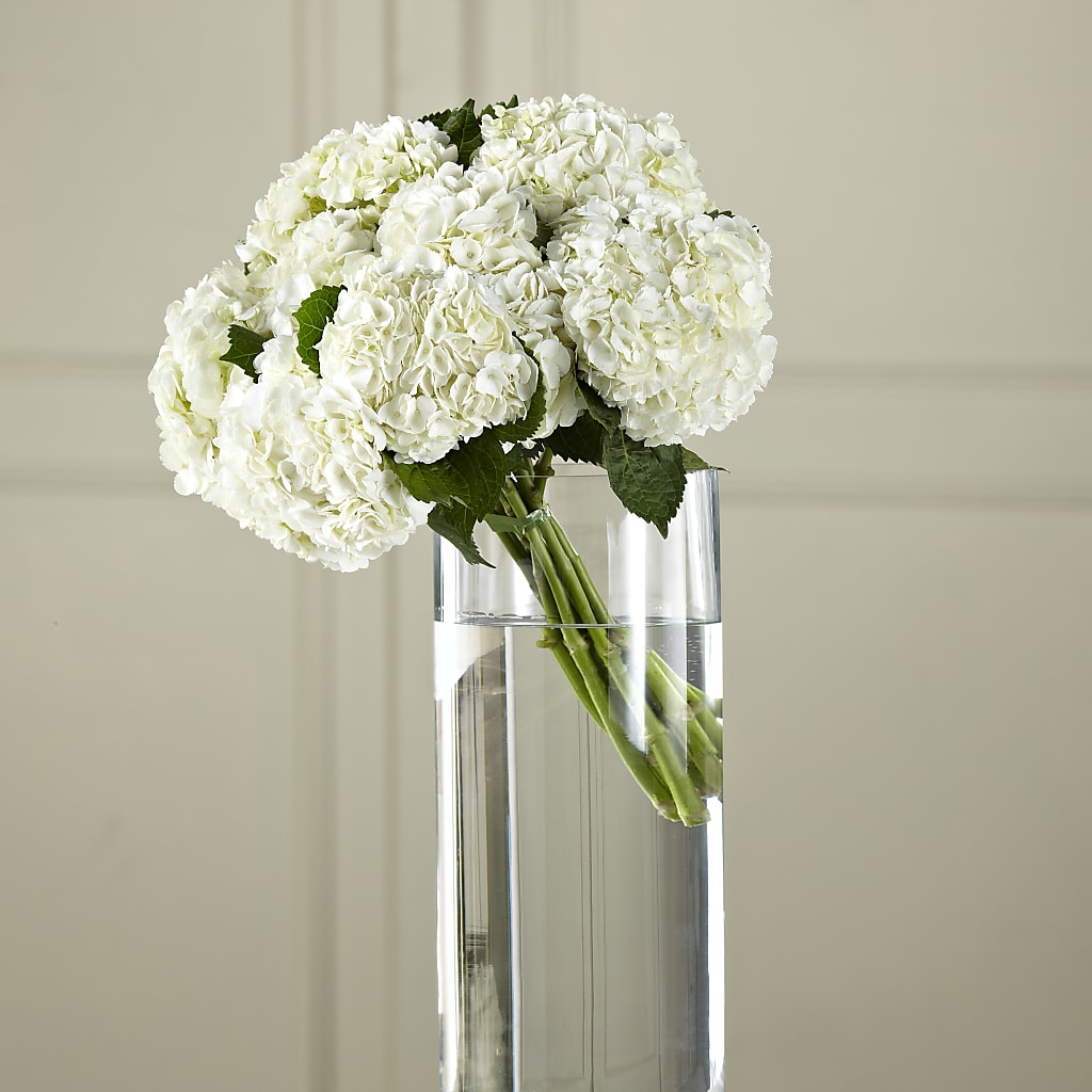 White Hydrangea Hand-Tied Bouquet – Dalias Flowers, Cornelius NC