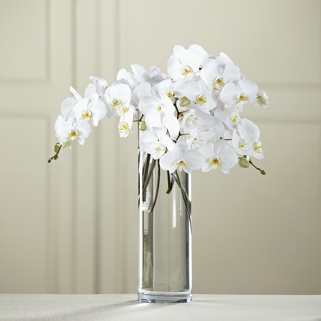 White Phalaenopsis Bouquet – Dalias Flowers, Cornelius NC