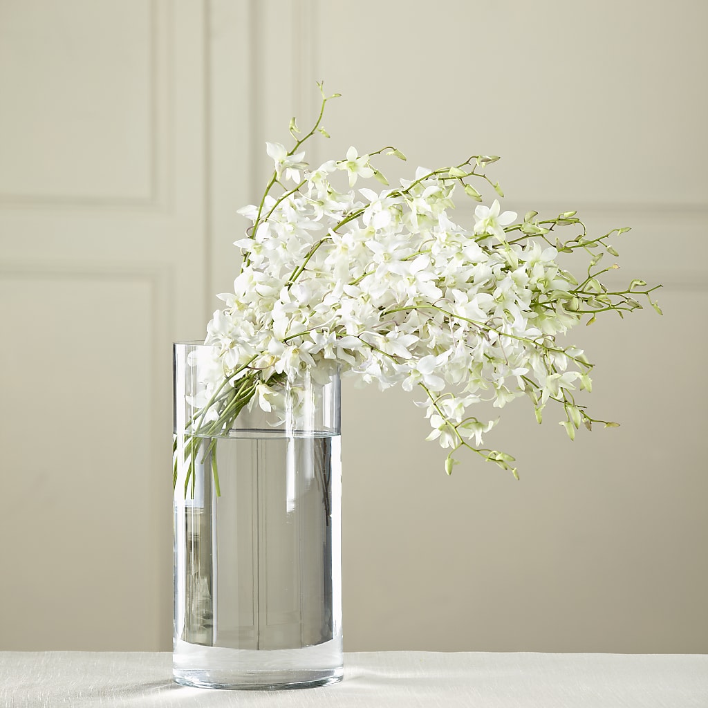 White Dendrobium Bouquet – Dalias Flowers, Cornelius NC