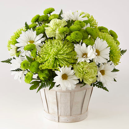 Lucky Charm Basket (Standard) –  Dalias Flowers, Cornelius NC
