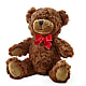 Adorable Plush Bear –  Dalias Flowers, Cornelius NC