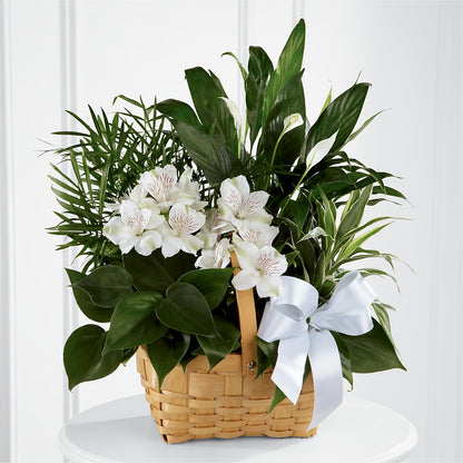 Peace & Serenity Dishgarden –  Dalias Flowers, Cornelius NC