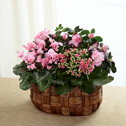 Pink Assortment –  Dalias Flowers, Cornelius NC