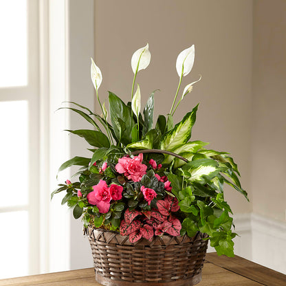 Dream in Pink Dishgarden –  Dalias Flowers, Cornelius NC