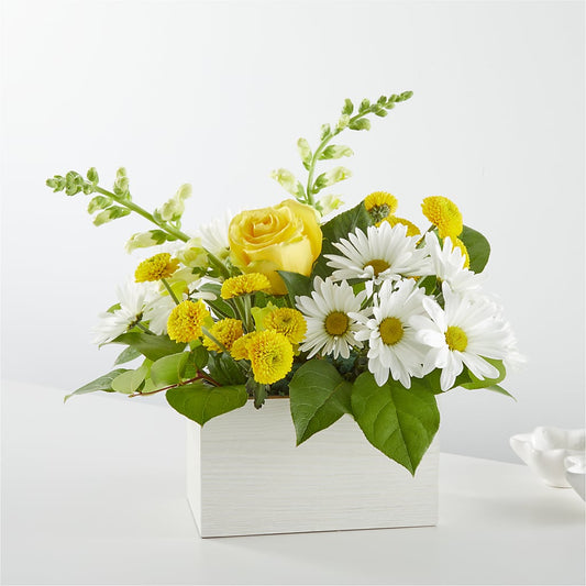 Sun Salutation Box Bouquet –  Dalias Flowers, Cornelius NC