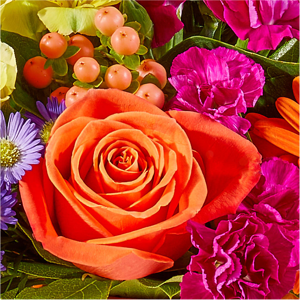 Tricks & Treats Pumpkin –  Dalias Flowers, Cornelius NC