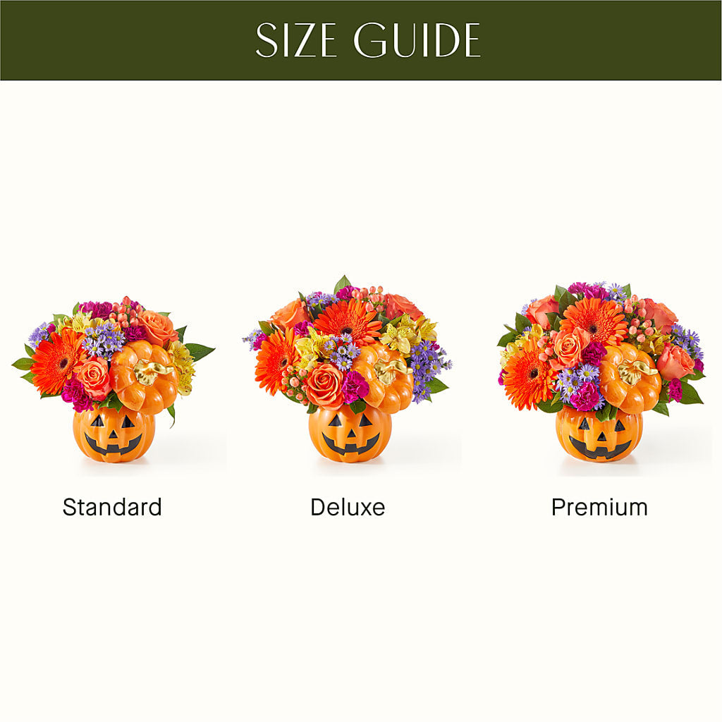 Tricks & Treats Pumpkin –  Dalias Flowers, Cornelius NC