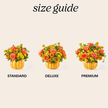 Gourdgeous Pumpkin –  Dalias Flowers, Cornelius NC