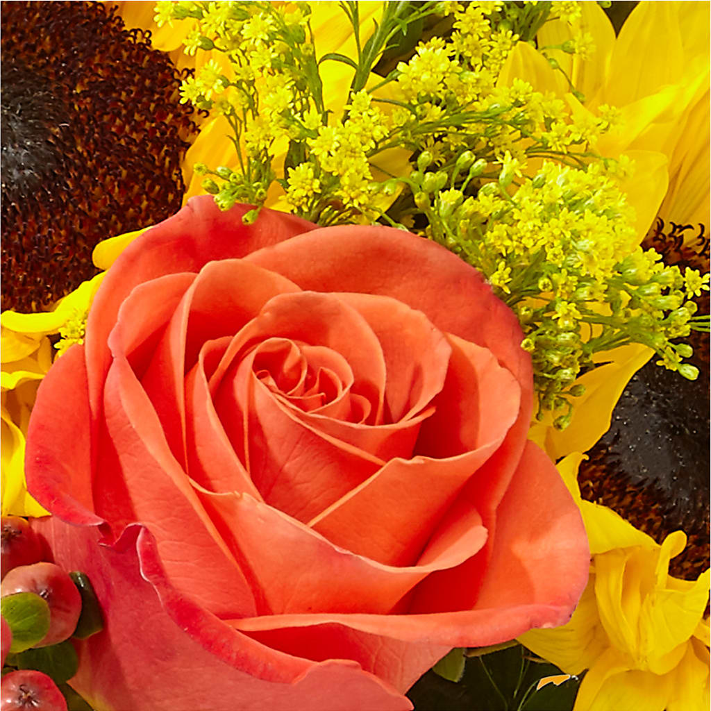 Pick of the Patch Pumpkin Bouquet –  Dalias Flowers, Cornelius NC