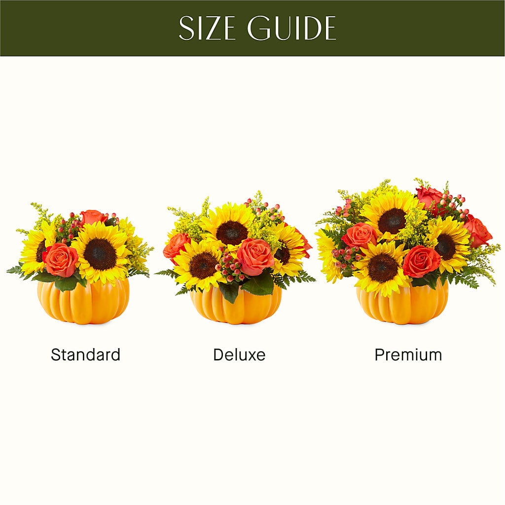 Pick of the Patch Pumpkin Bouquet –  Dalias Flowers, Cornelius NC