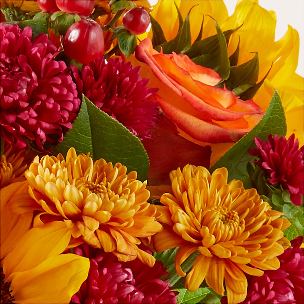 Sweater Season - A Florist Original –  Dalias Flowers, Cornelius NC