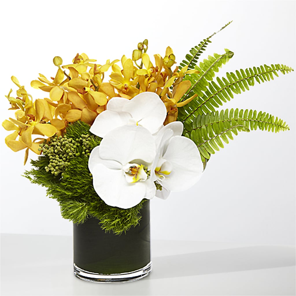 The Tropics –  Dalias Flowers, Cornelius NC