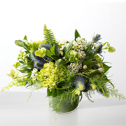The Botanical Gardens –  Dalias Flowers, Cornelius NC