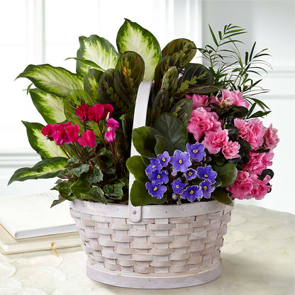 Peaceful Garden Planter –  Dalias Flowers, Cornelius NC