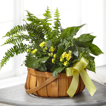 Always Dear Dishgarden –  Dalias Flowers, Cornelius NC