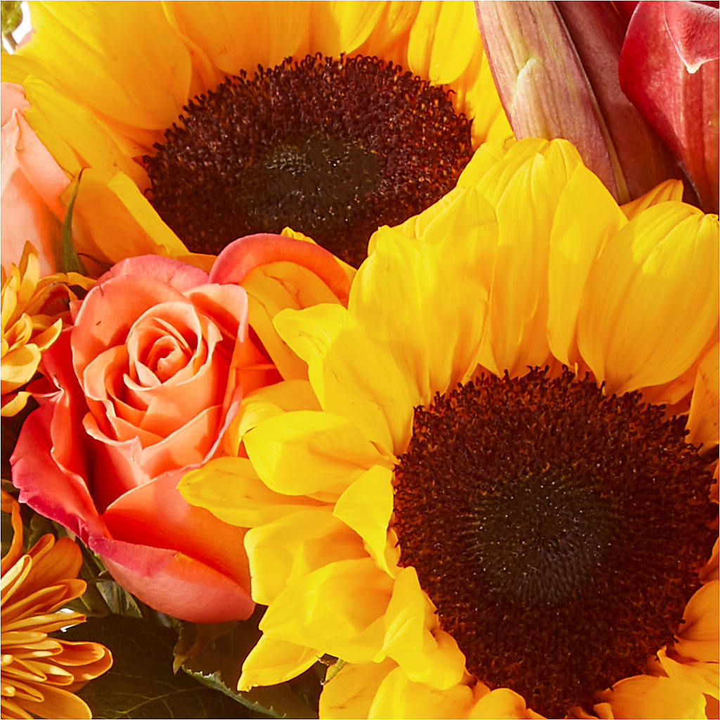 Acorn Lane Bouquet –  Dalias Flowers, Cornelius NC
