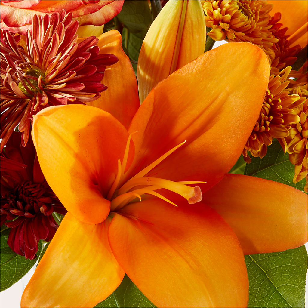Autumnal Aroma Bouquet –  Dalias Flowers, Cornelius NC
