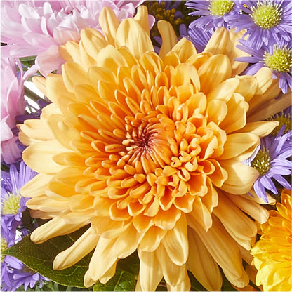 Countryside Bouquet –  Dalias Flowers, Cornelius NC