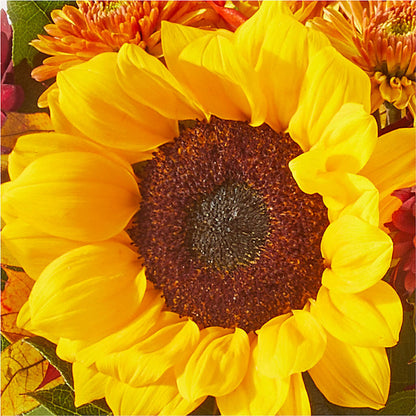 Sunny Side Bouquet –  Dalias Flowers, Cornelius NC