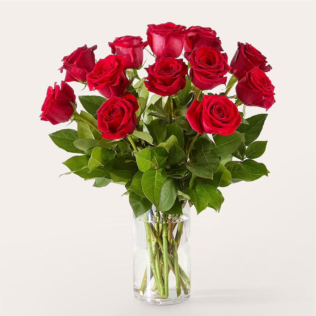 The One Red Rose Bouquet –  Dalias Flowers, Cornelius NC