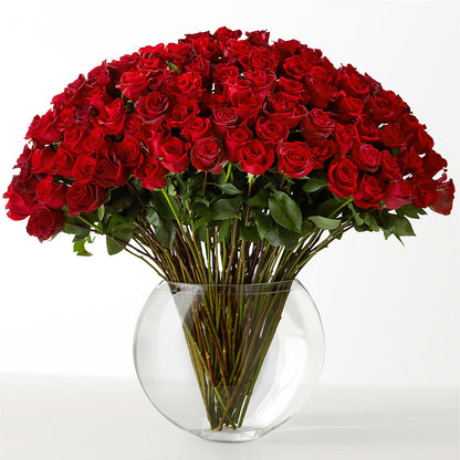 The Idealist –  Dalias Flowers, Cornelius NC