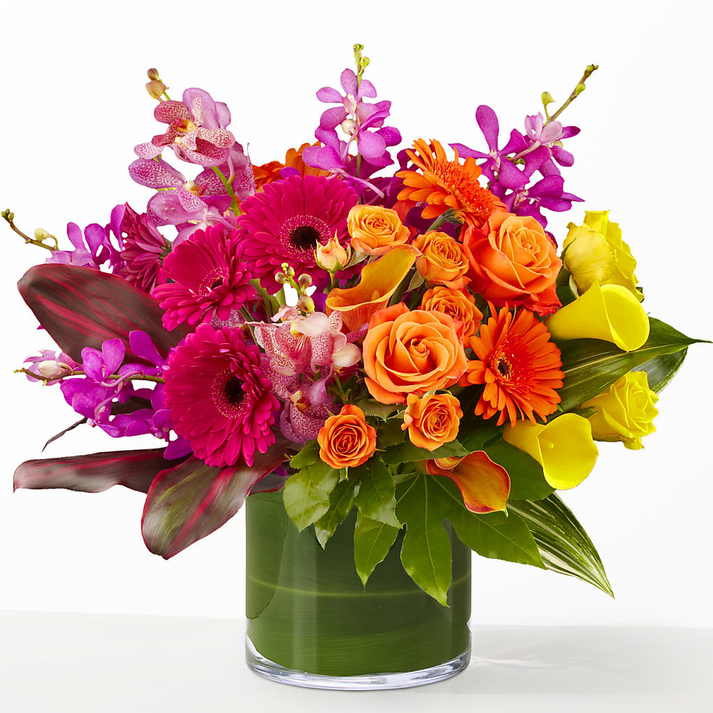 The Mosaic –  Dalias Flowers, Cornelius NC