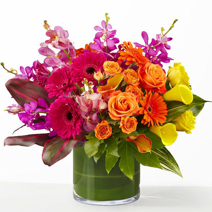 The Mosaic –  Dalias Flowers, Cornelius NC