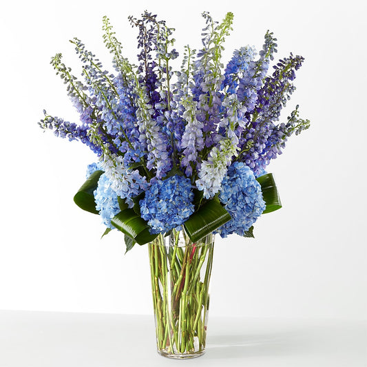 The Editorial –  Dalias Flowers, Cornelius NC
