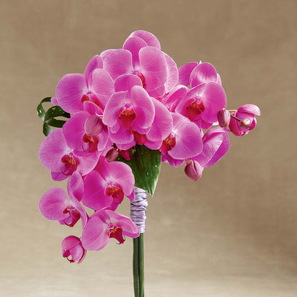 Glorious Bouquet –  Dalias Flowers, Cornelius NC