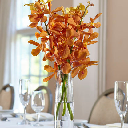 Orange Mokara Bud Vase –  Dalias Flowers, Cornelius NC