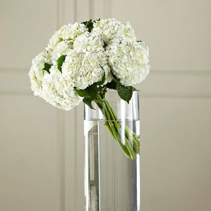 White Hydrangea Hand-Tied Bouquet –  Dalias Flowers, Cornelius NC