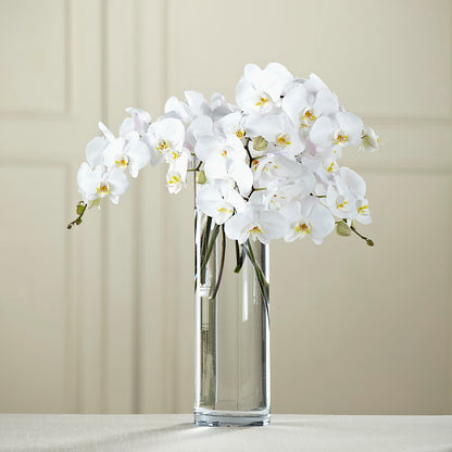 White Phalaenopsis Bouquet –  Dalias Flowers, Cornelius NC