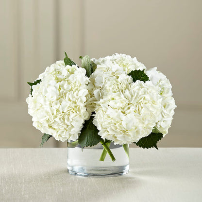 White Hydrangea Bouquet –  Dalias Flowers, Cornelius NC